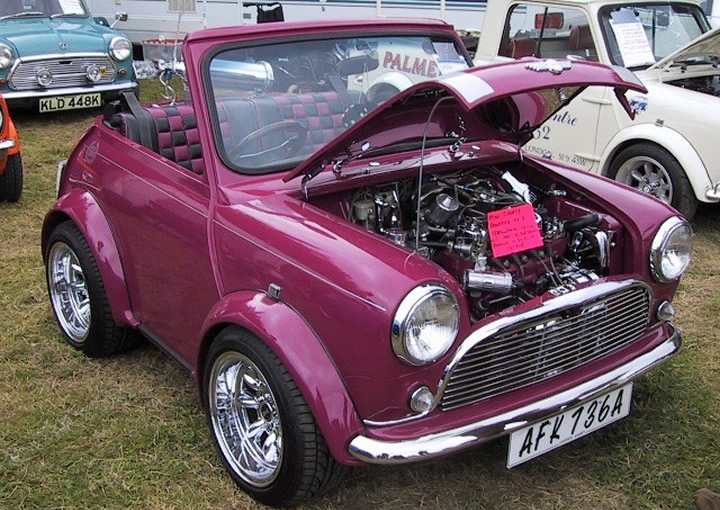 Short Mini